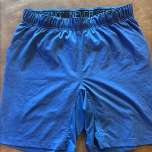 The North Face Blue Athletic Shorts Medium